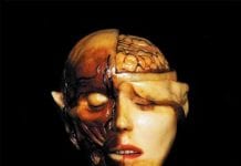 BLACK MOTH: Anatomical Venus