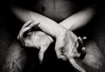 SHINING X: Varg Utan Flock