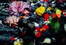 BLAQK AUDIO Release “Caroline In The Clip” And Video For “The Viles”