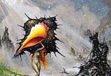 CIRCA SURVIVE: The Amulet