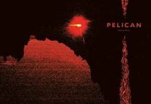 PELICAN: Nighttime Stories