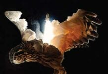 MONOLORD: No Comfort