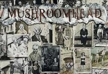 MUSHROOMHEAD: A Wonderful Life