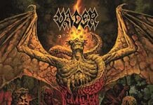 VADER: Solitude in Madness