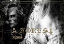 BEHEMOTH: A Forest