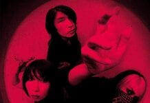 BORIS Announces New Album No