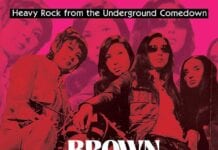 EXCLUSIVE PREMIERE: Listen to BROWN ACID: THE ELEVENTH TRIP Compilation