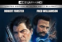 MOVIE REVIEW: VIGILANTE (1982)