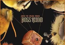 BOSS KELOID: Family the Smiling Thrush