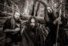 WOLVES IN THE THRONE ROOM: Vitality and Power