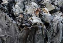 ANNIHILUS: Follow a Song from the Sky