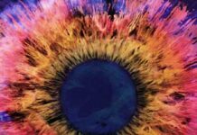 THRICE: Horizons/East