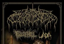 WOLVES IN THE THRONE ROOM Announces North American Tour