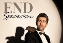 DAVEY HAVOK of AFI Blasts Animal Experiments in New PETA Spot for World Rat Day