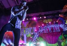 SWANFEST, Sacramento, CA, Heart Health Park, 04.23.22