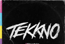 ELECTRIC CALLBOY: Tekkno