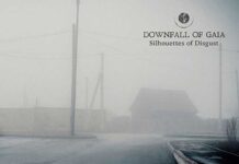 DOWNFALL OF GAIA: Silhouettes of Disgust