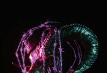 GIDEON: MORE POWER. MORE PAIN.