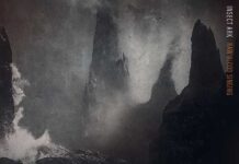 INSECT ARK: Raw Blood Singing