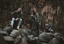 Influences and Essentials: WARFIELD