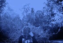 Exclusive Premiere: Heavy Outfit VIDE’s New Single “decorated in spiderweb”